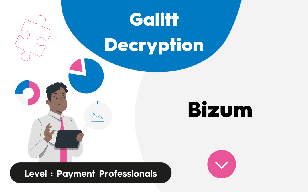 Bizum analyse
